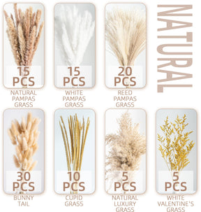 Natural Dried Pampas Grass Boho Home Decor Bouquet Phragmites Dried Flowers. 💥Flash Sale 💥