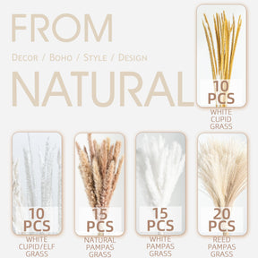 Natural Dried Pampas Grass Boho Home Decor Bouquet Phragmites Dried Flowers. 💥Flash Sale 💥