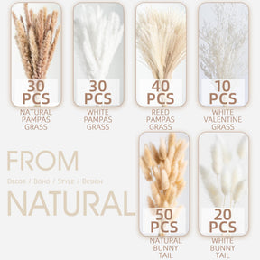 Natural Dried Pampas Grass Boho Home Decor Bouquet Phragmites Dried Flowers. 💥Flash Sale 💥