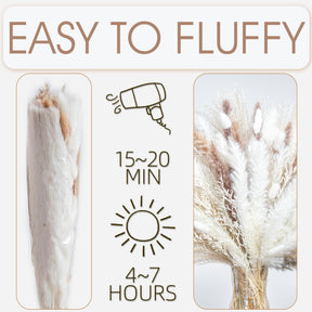 Natural Dried Pampas Grass Boho Home Decor Bouquet Phragmites Dried Flowers. 💥Flash Sale 💥