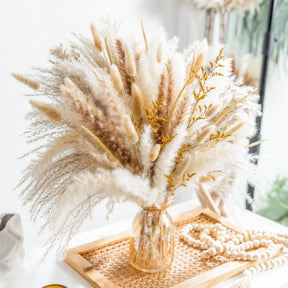 Natural Dried Pampas Grass Boho Home Decor Bouquet Phragmites Dried Flowers. 💥Flash Sale 💥