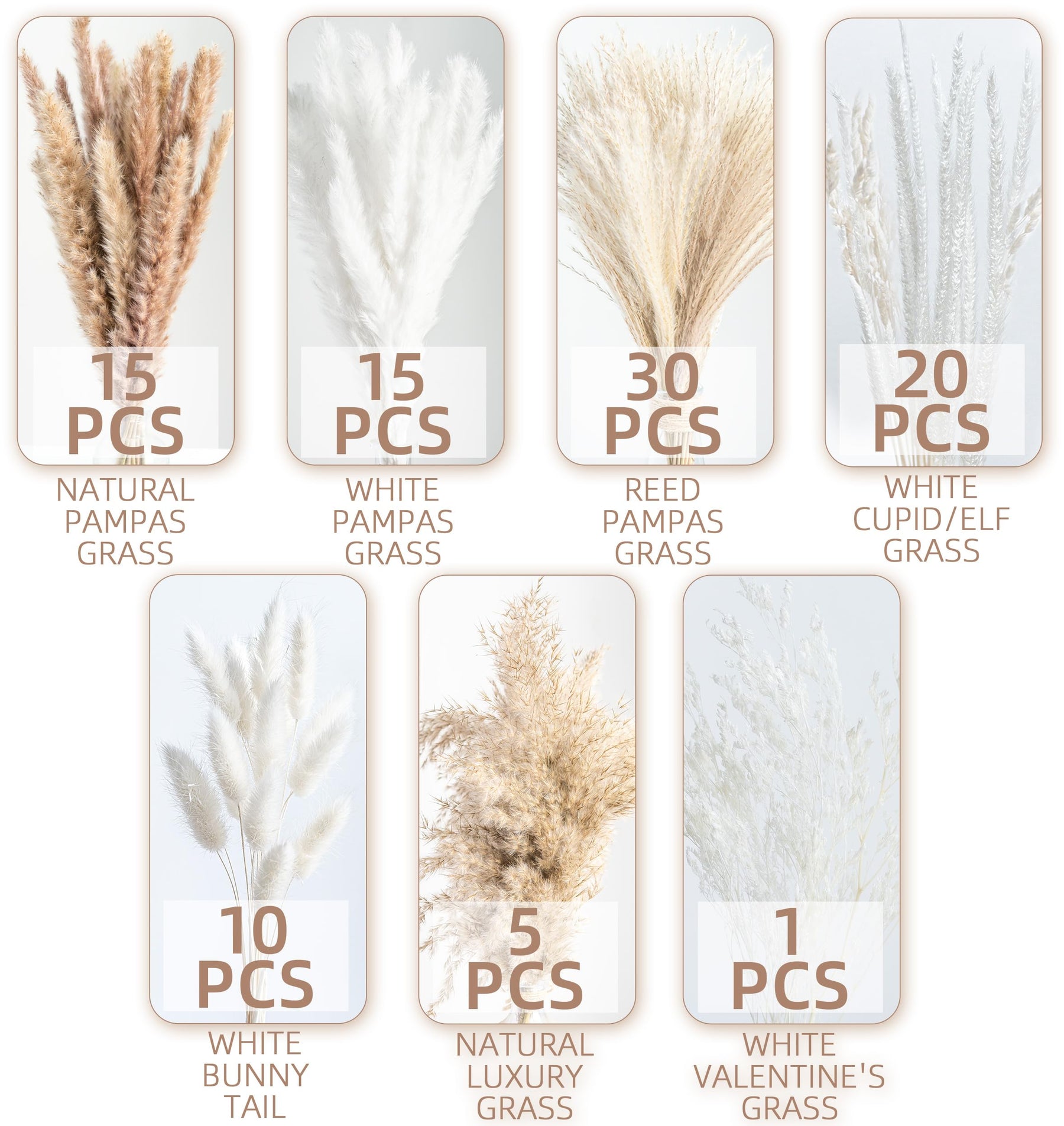 Natural Dried Pampas Grass Boho Home Decor Bouquet Phragmites Dried Flowers. 💥Flash Sale 💥