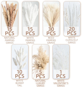 Natural Dried Pampas Grass Boho Home Decor Bouquet Phragmites Dried Flowers. 💥Flash Sale 💥