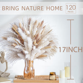 Natural Dried Pampas Grass Boho Home Decor Bouquet Phragmites Dried Flowers. 💥Flash Sale 💥